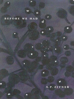 cover image of Before We Had Words